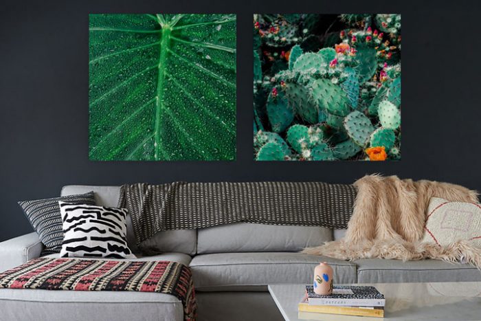 Plant Life